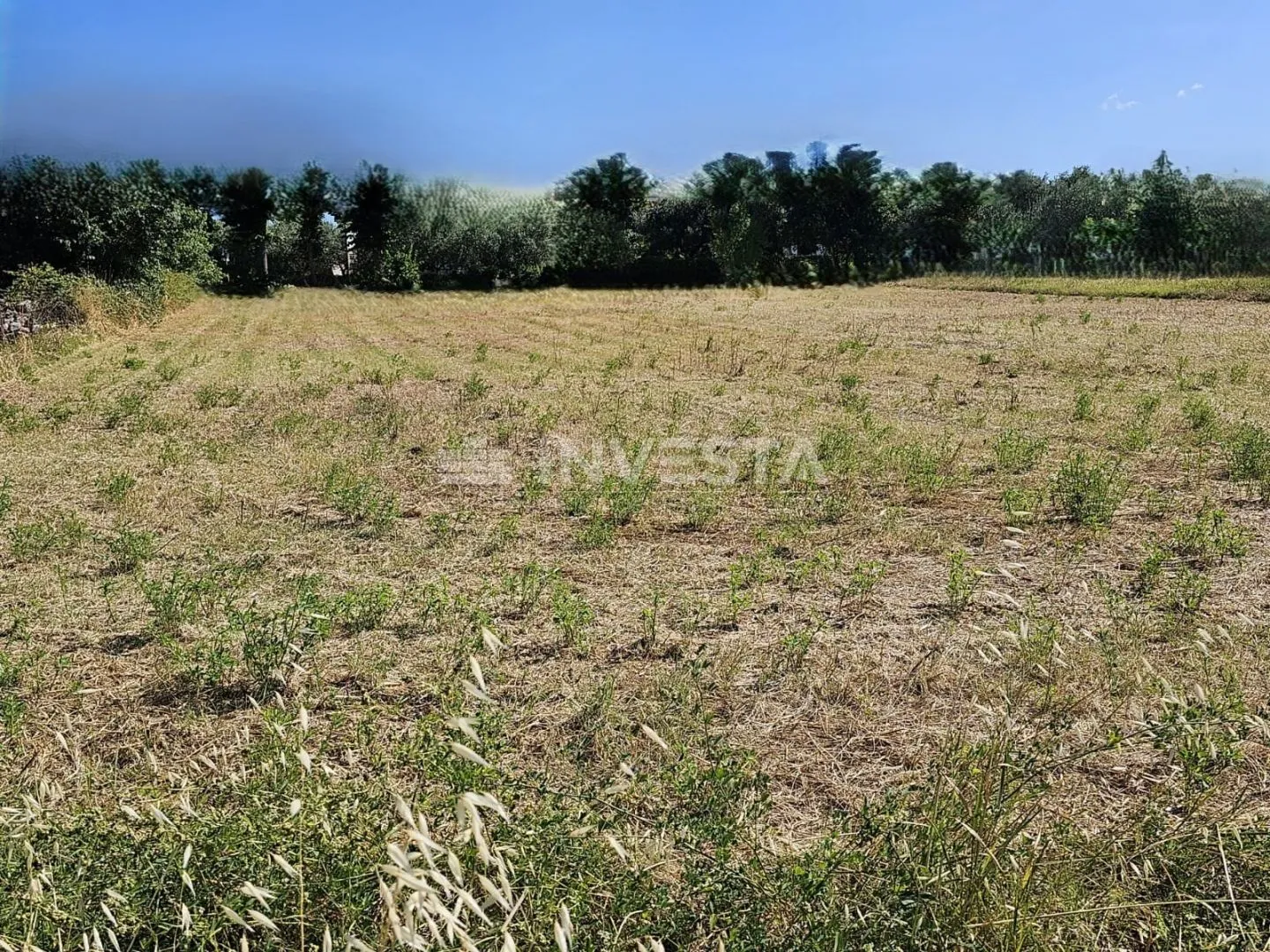 vodnjan, atraktivno građevinsko zemljište 2112 m2 - slika 3