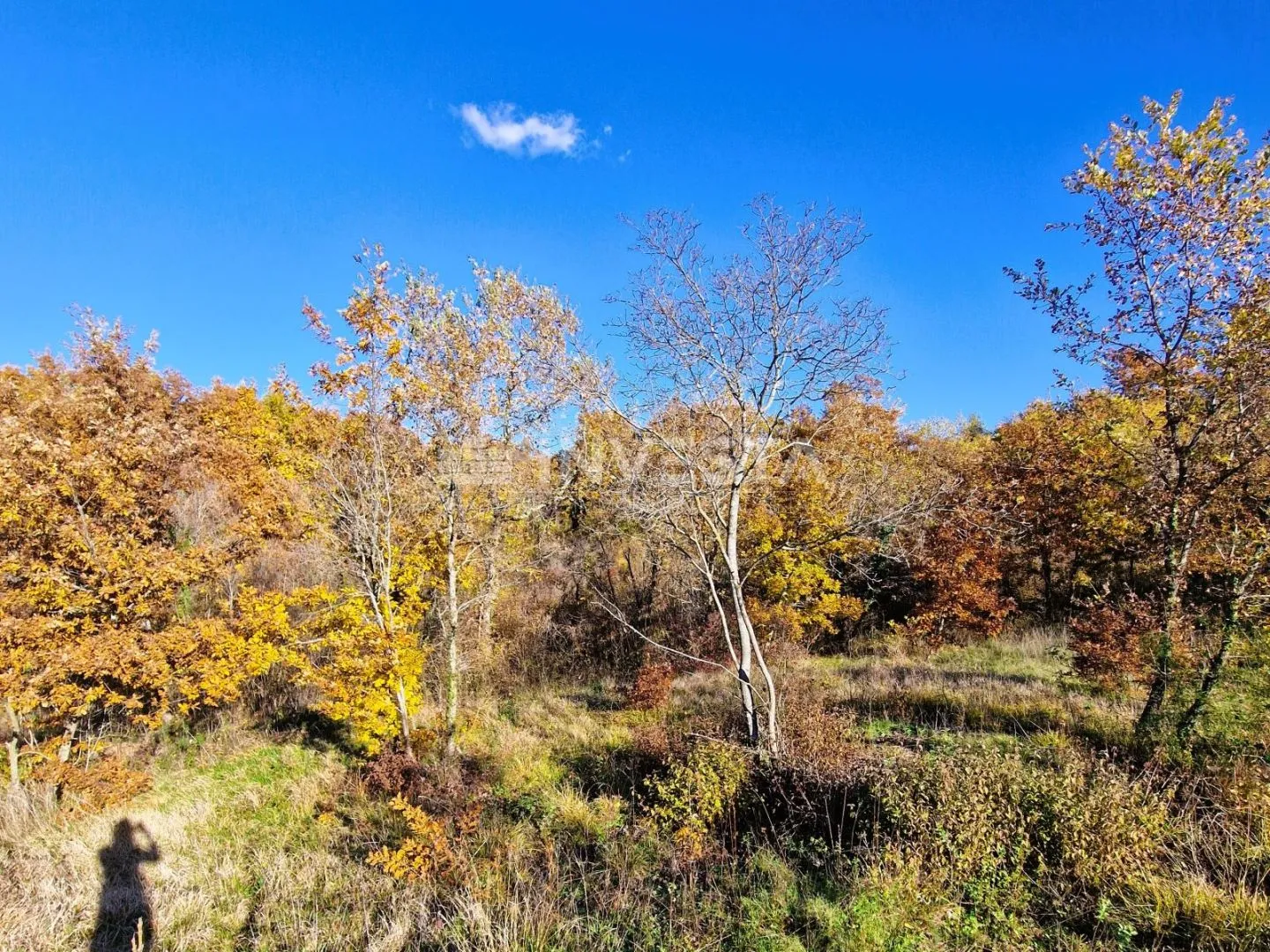 štokovci, građevinsko 1.256 m2 i poljoprivredno 568 m2zemljište - slika 13