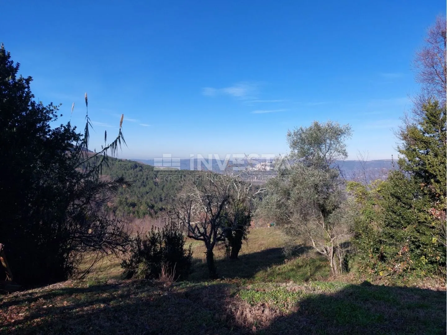 okolica motovuna, autohtona istarska kuća s pogledom na motovun - slika 5