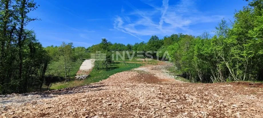 barban, rojnići, više građevinskih zemljišta, 693 m2 - 910 m2 - slika 5