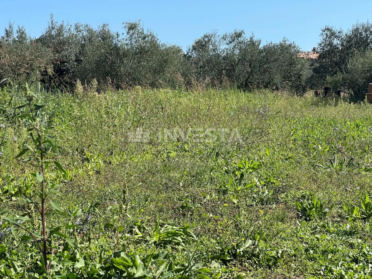 Pula, građevinsko zemljište površine 1260 m2