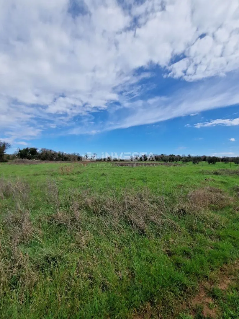 šišan, poljoprivredno zemljište na rubu urbanizacije, 1250 m2 - slika 3