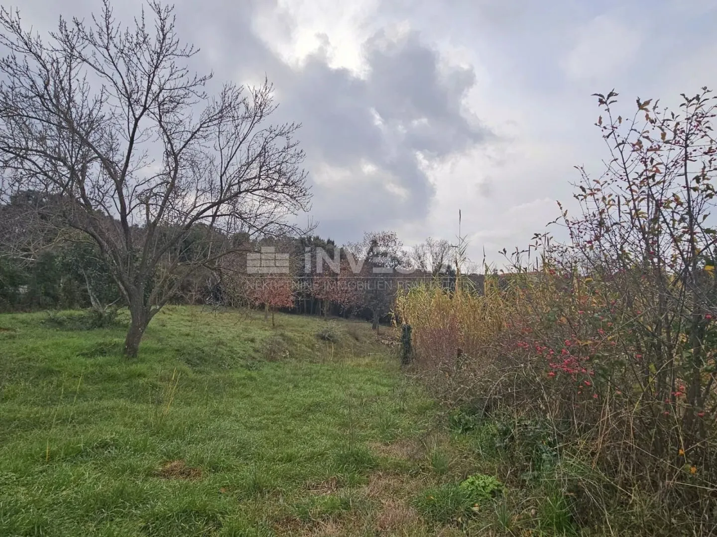 pula, veli vrh, građevinsko zemljište 2907m2 - slika 3