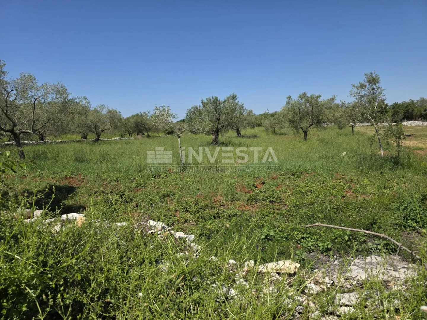 Okolica Fažane, prostrano i uredno poljoprivredno zemljište - Peroj, Vodnjan