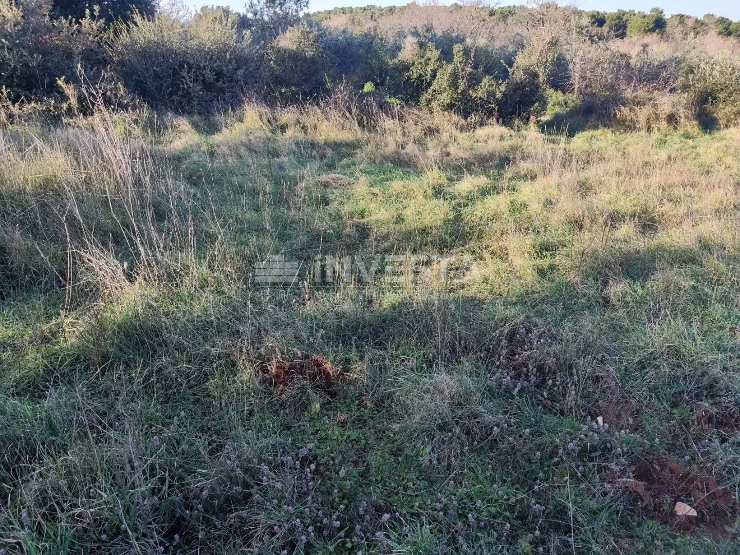 građevinska zemljišta na mirnoj lokaciji sa pogledom na grad - slika 2