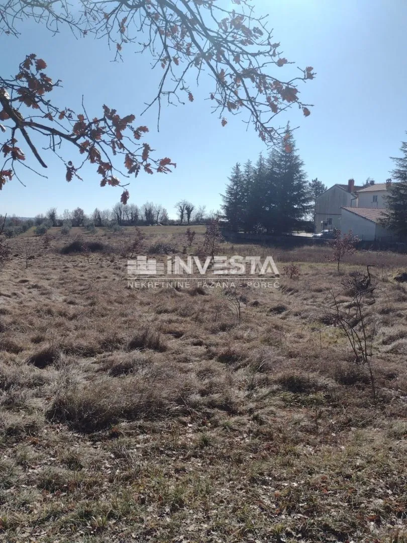 višnjan okolica, građevinsko zemljište 5.000 m2 - slika 2