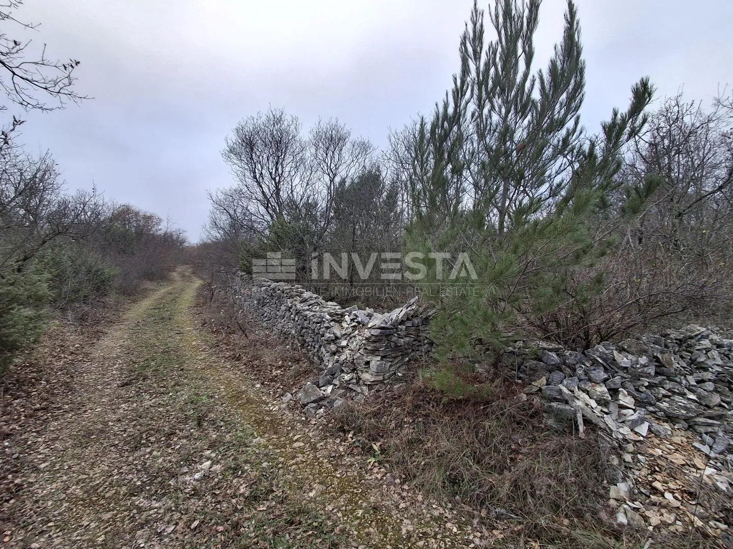 poljoprivredno zemljište blizu glavne ceste - slika 2