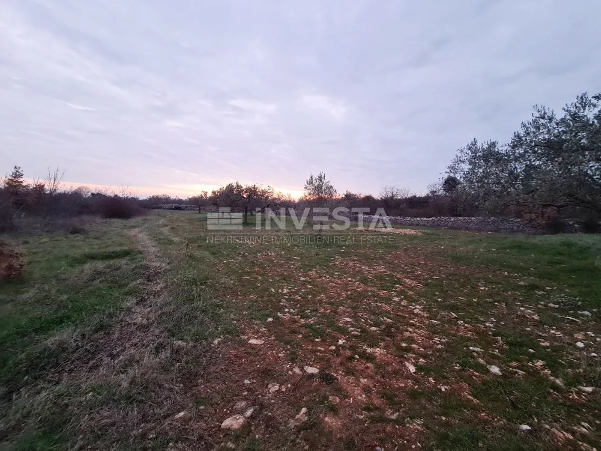 poljoprivredno zemljište u vodnjanu blizu ipsilona - slika 6