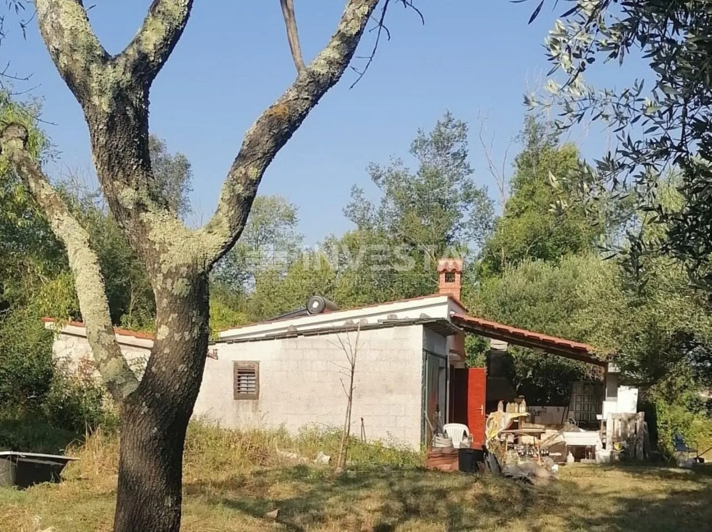 rovinj, zelena oaza mira blizu mora - slika 5