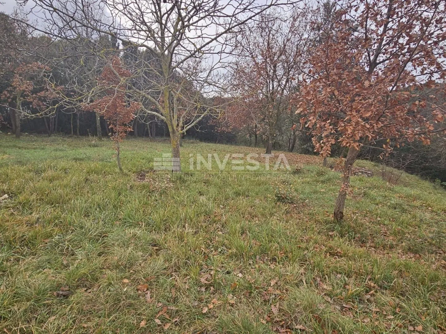 pula, veli vrh, građevinsko zemljište 2907m2 - slika 2