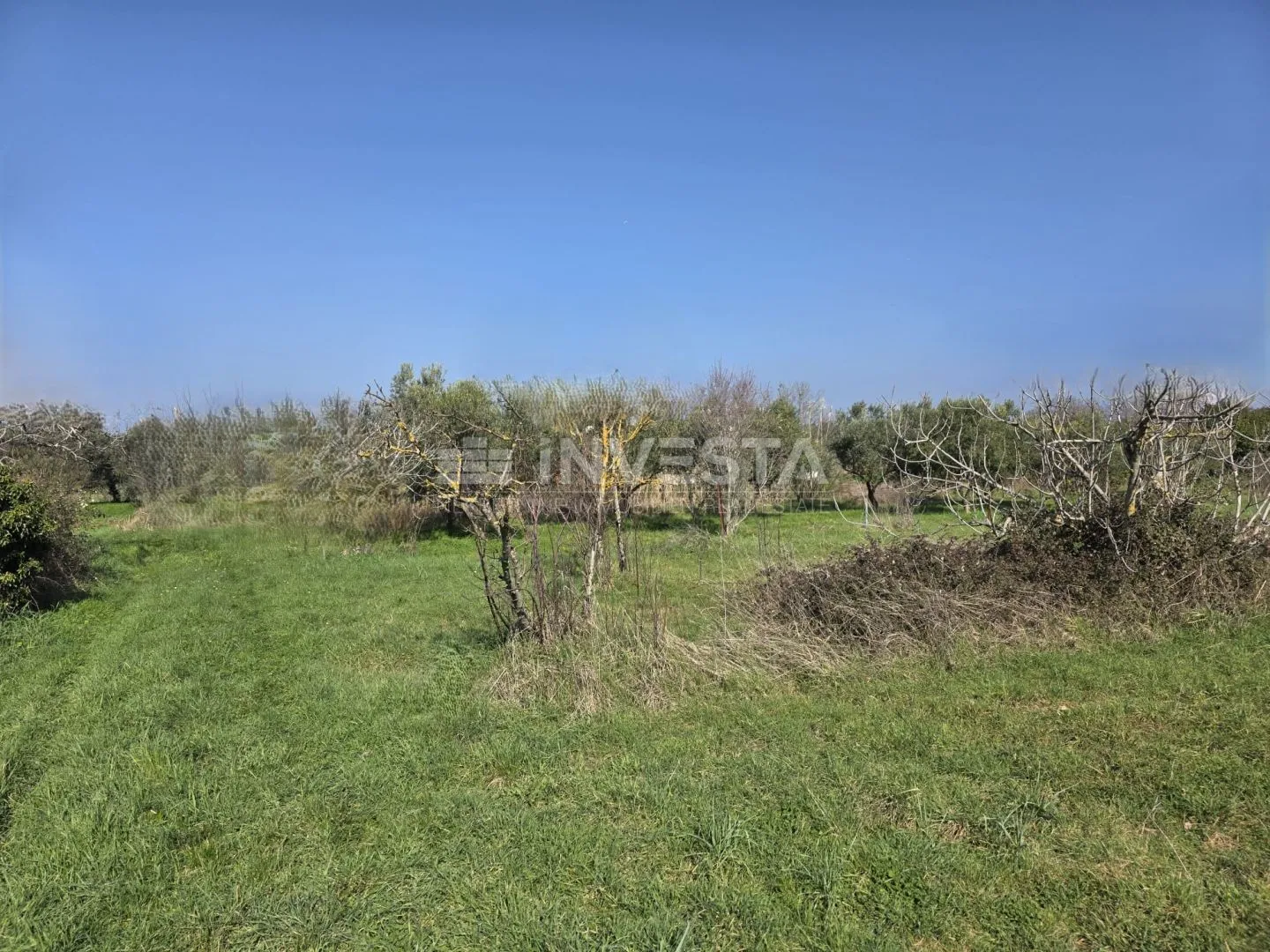 fažana, građevinsko zemljište 2.580m2 blizu plaže - slika 4