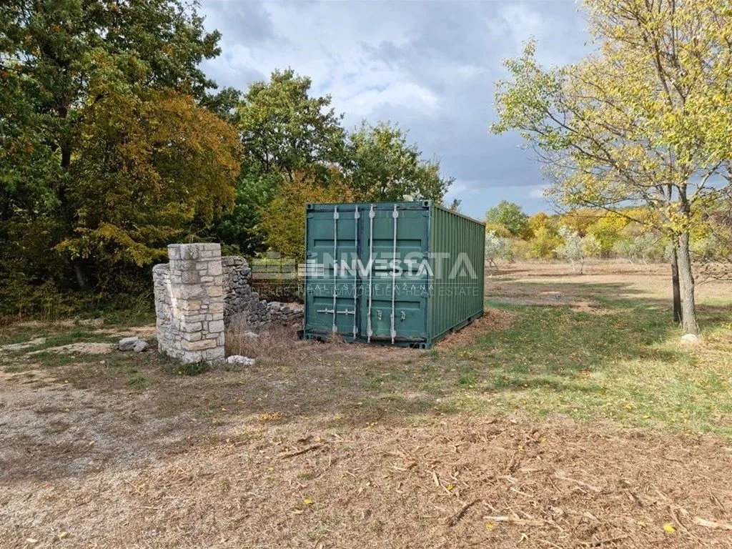 okolica svetog lovreča, maslinik 13300 m2 - slika 9