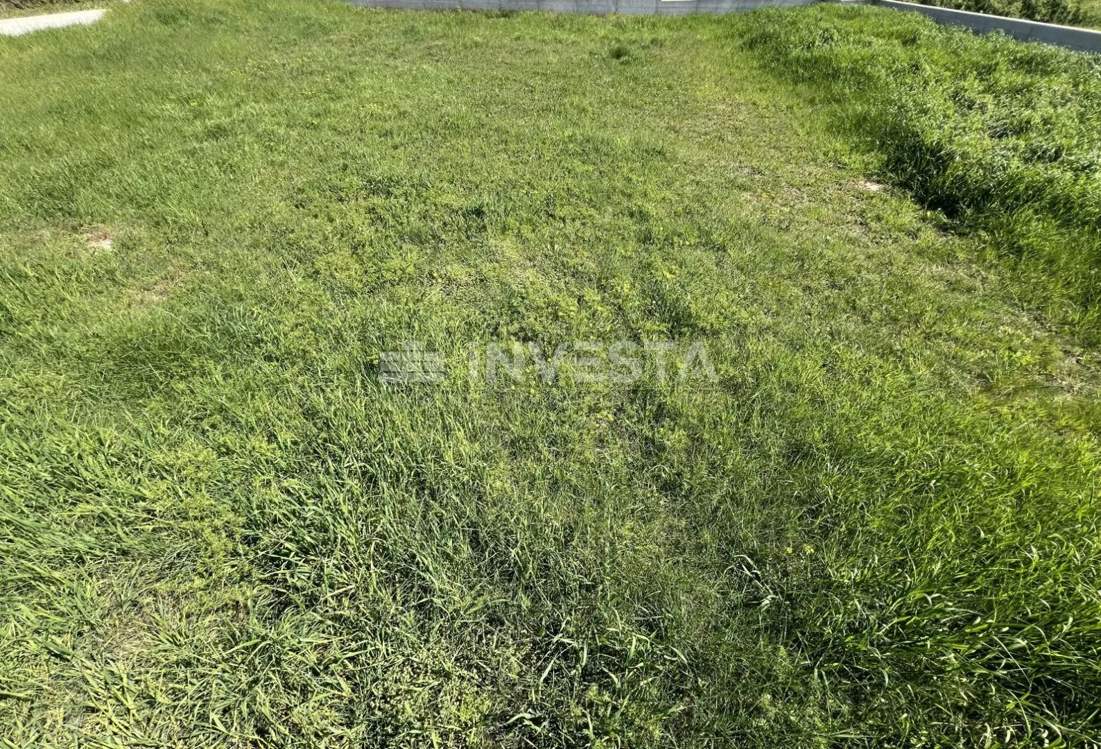 vodnjan, galižana, građevinsko zemljište, 1000m2 - slika 4