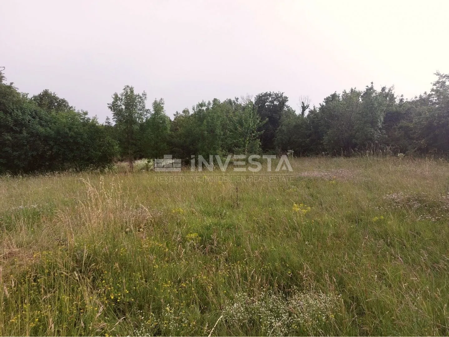 tinjan, građevinsko zemljište 3197 m2 + 971 m2 poljoprivredno - slika 1