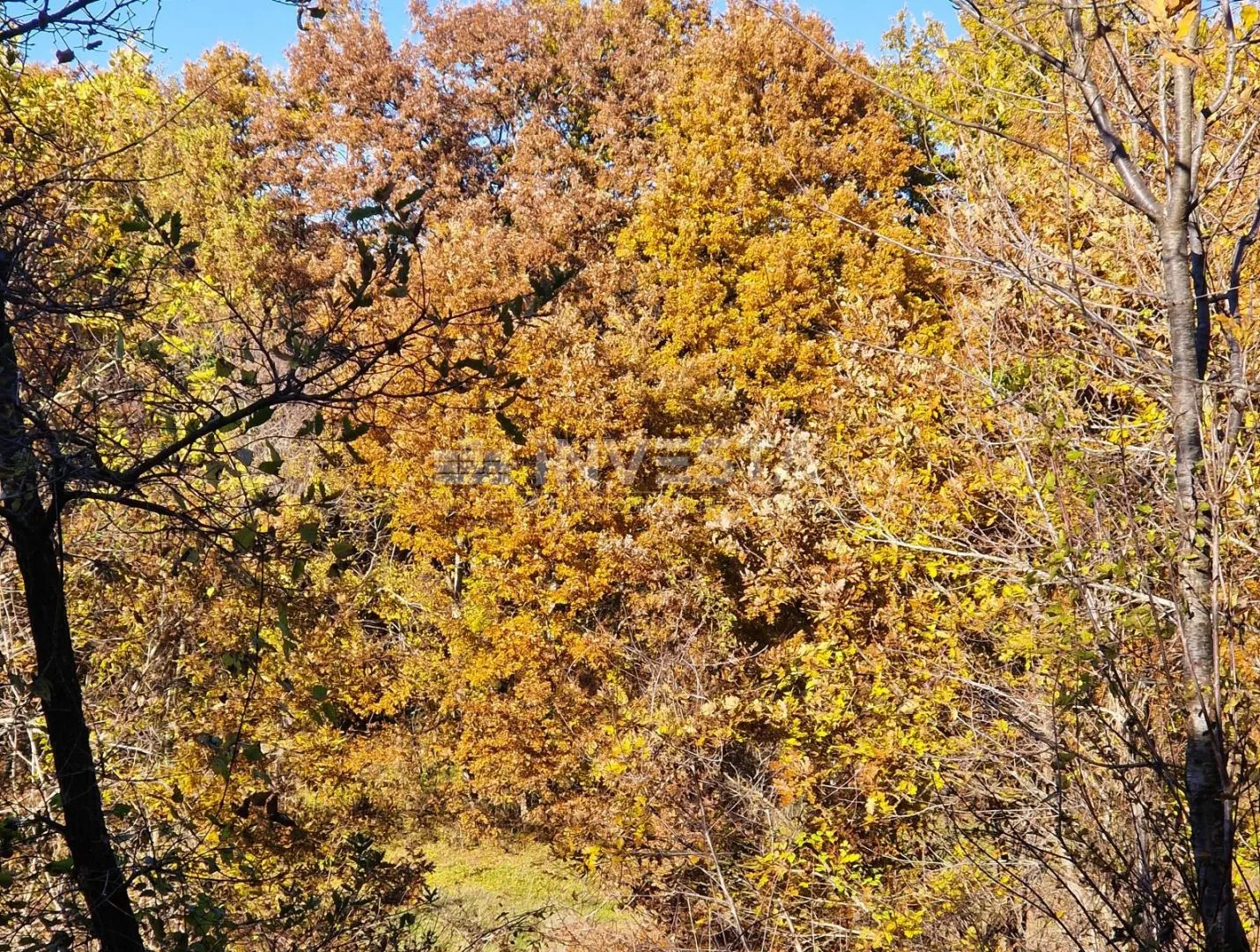 štokovci - građevinsko 795 m2 i poljoprivredno 360 m2 zemljište - slika 10