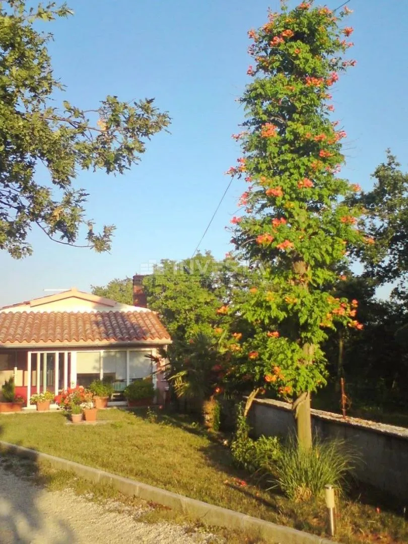 prizemna kuća 141 m 2 na kraju sela sa imanjem od 21500 m2 - slika 7