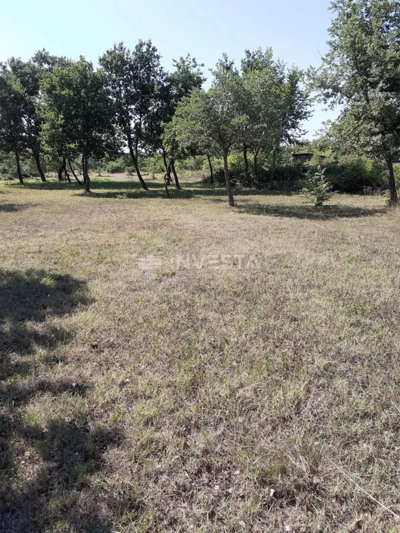 Poljoprivredno zemljište u blizini Barbarige - Gajana, Vodnjan