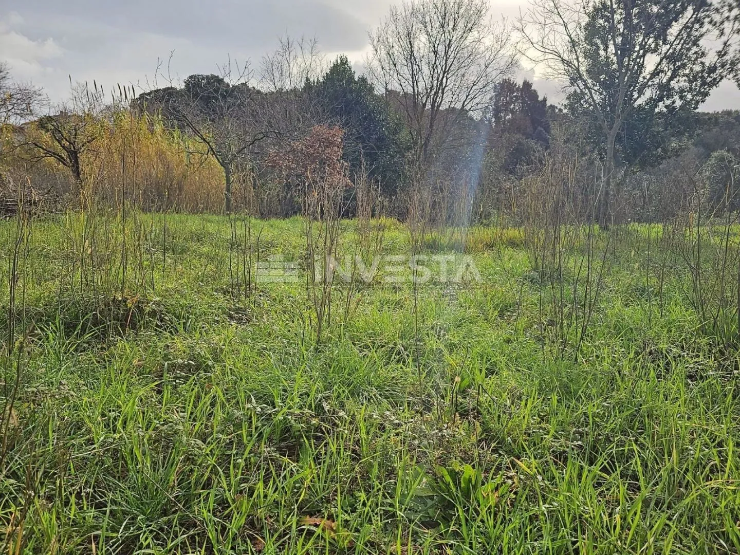 pula, veli vrh, građevinsko zemljište 2907m2 - slika 4