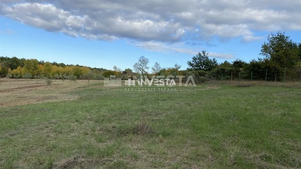 okolica svetog lovreča, maslinik 13300 m2 - slika 4