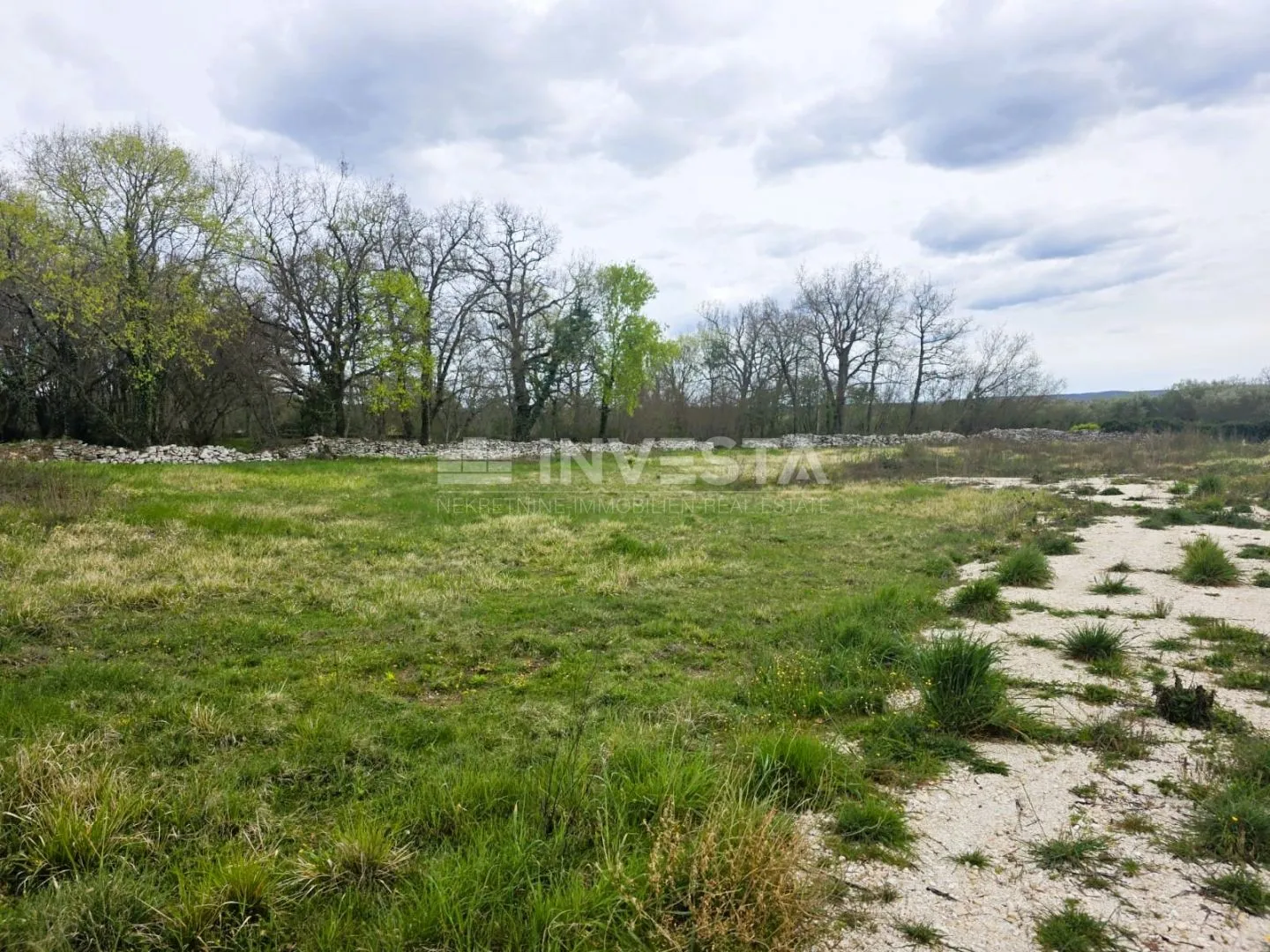 kanfanara okolica – građevinsko zemljište 522 m2 južne orijentacije - slika 2