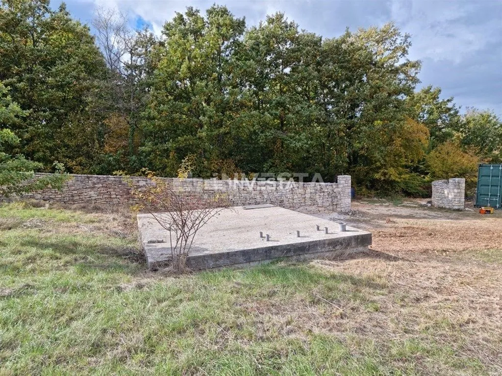 okolica svetog lovreča, maslinik 13300 m2 - slika 8