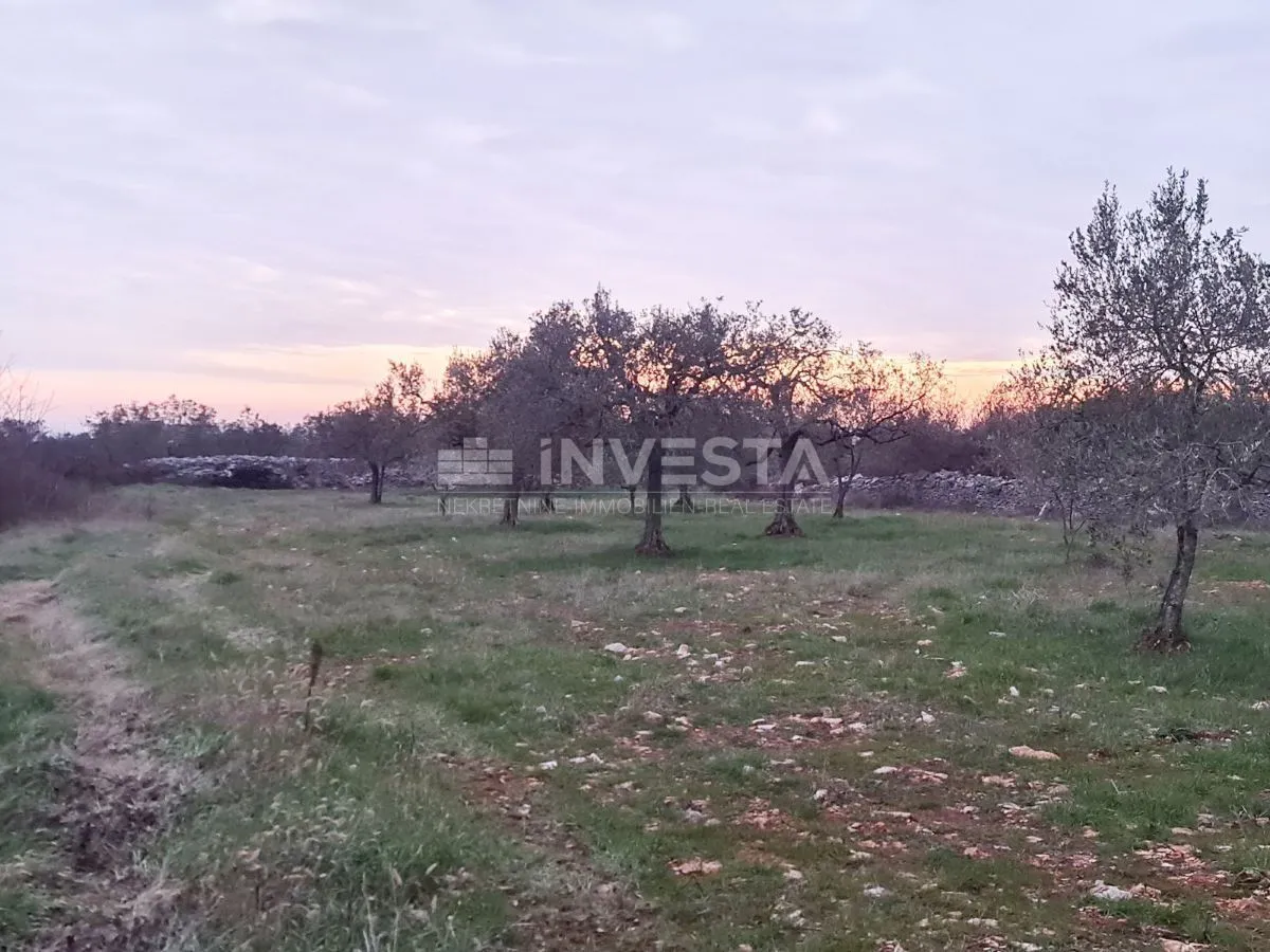 poljoprivredno zemljište u vodnjanu blizu ipsilona - slika 2