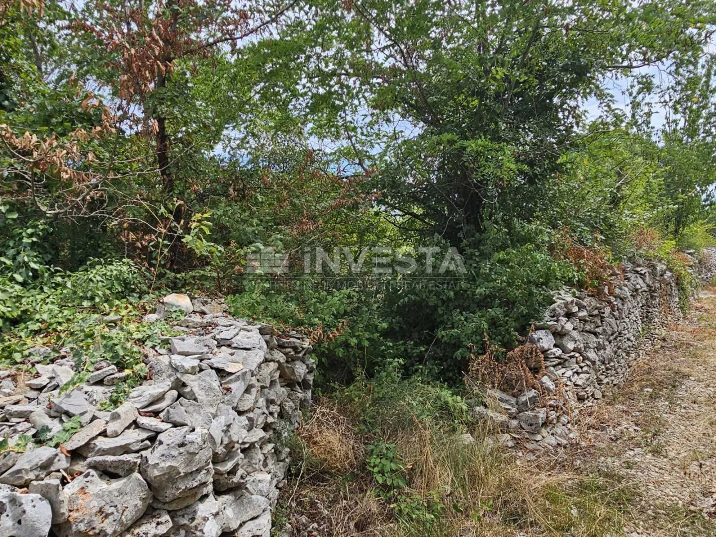 vodnjan, poljoprivredno zemljište 1.881 m² - slika 6