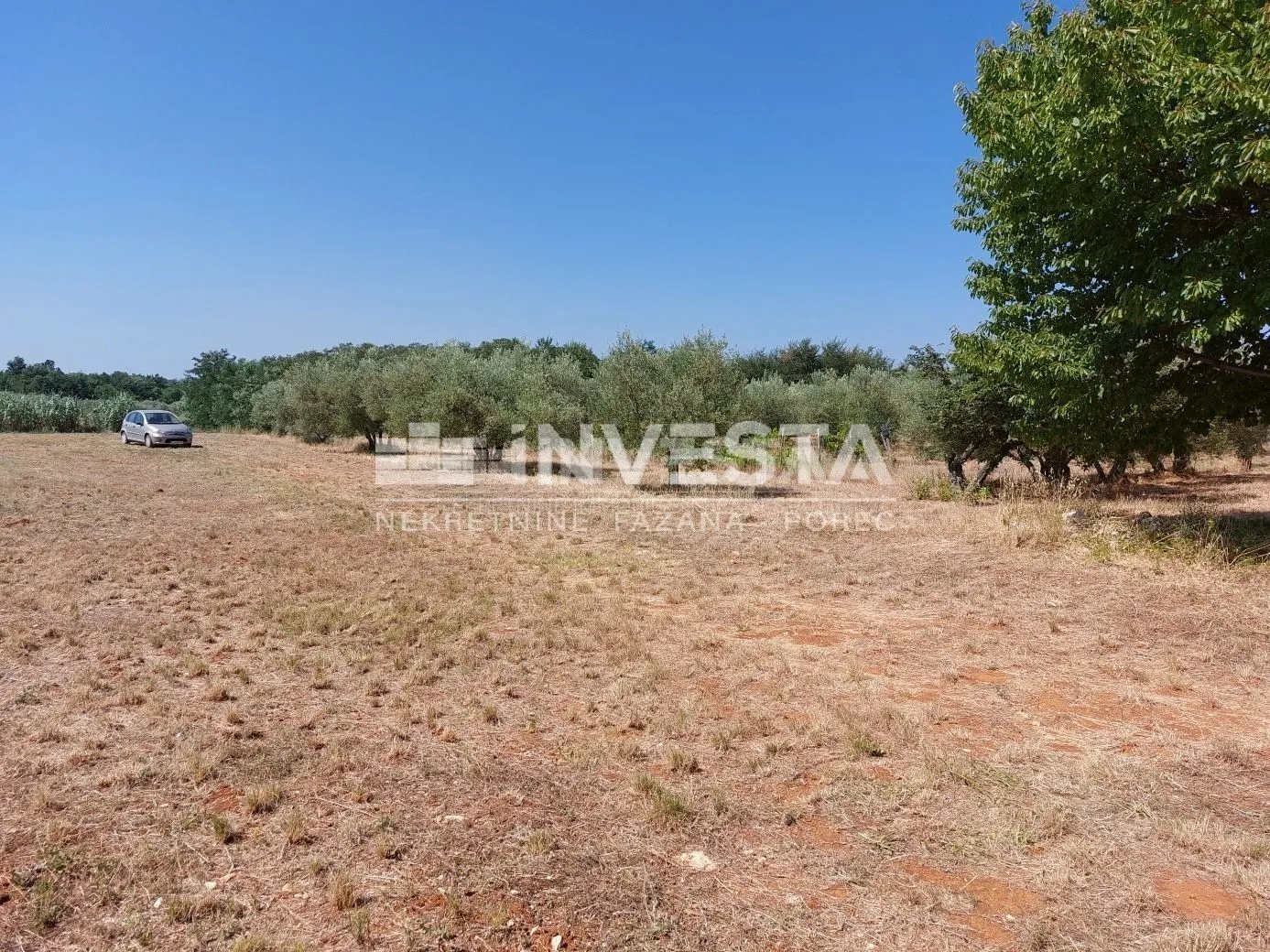 poreč okolica, poljoprivredno zemljište 4549 m2 - vinograd i pašnjak - slika 6