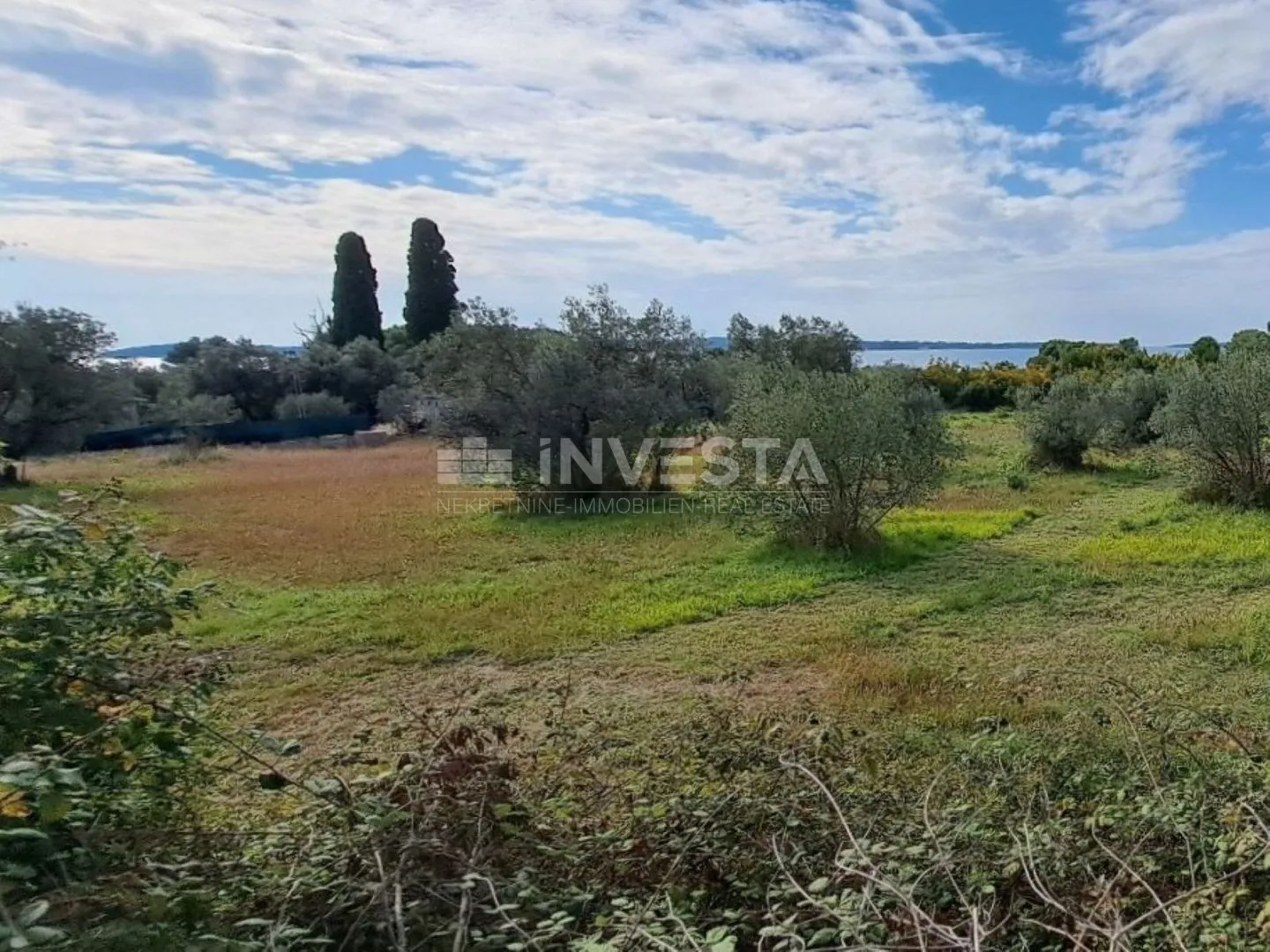 Fažana, maslinik s pogledom na more, 300 m od plaže