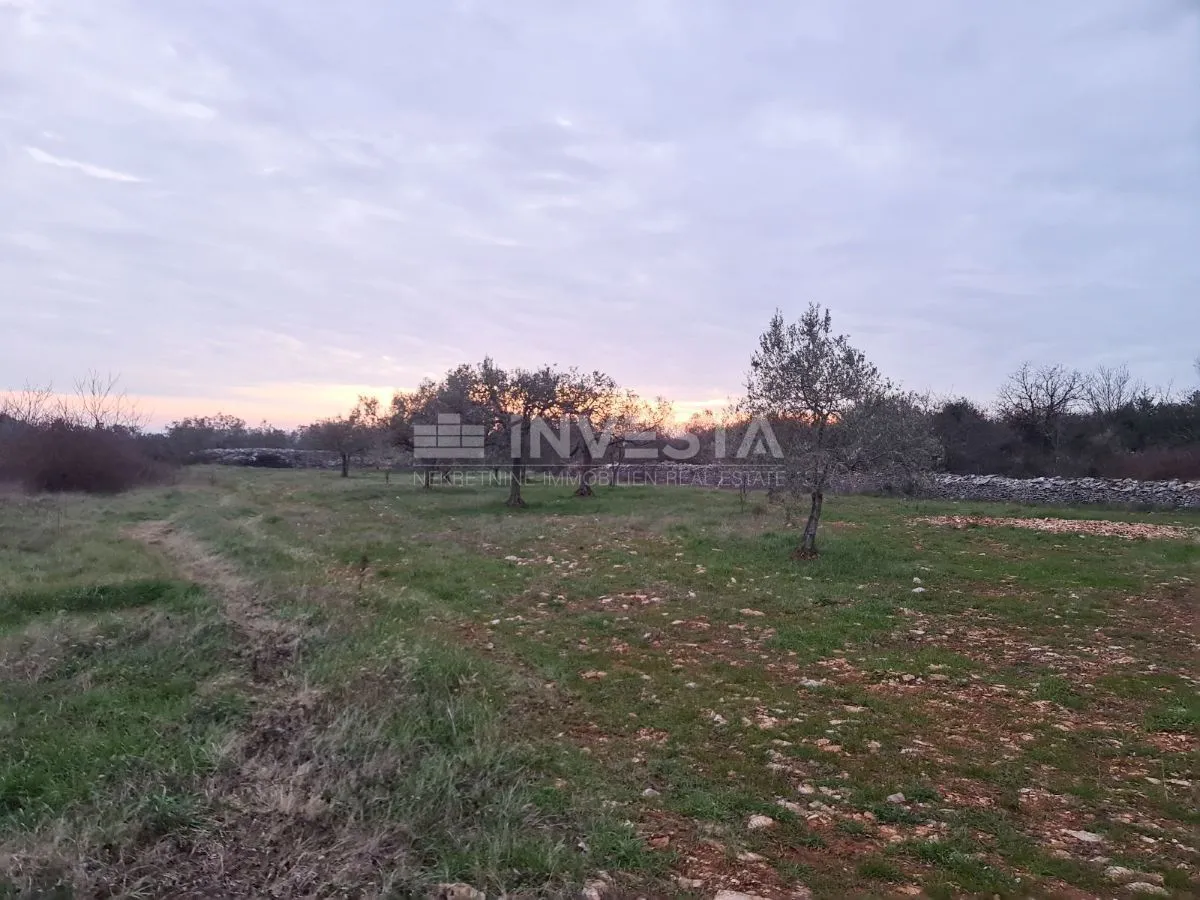 poljoprivredno zemljište u vodnjanu blizu ipsilona - slika 4