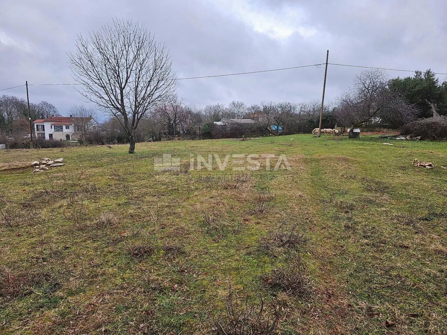 žminj, građevinsko zemljište 2905 m2, blizu ceste - slika 4