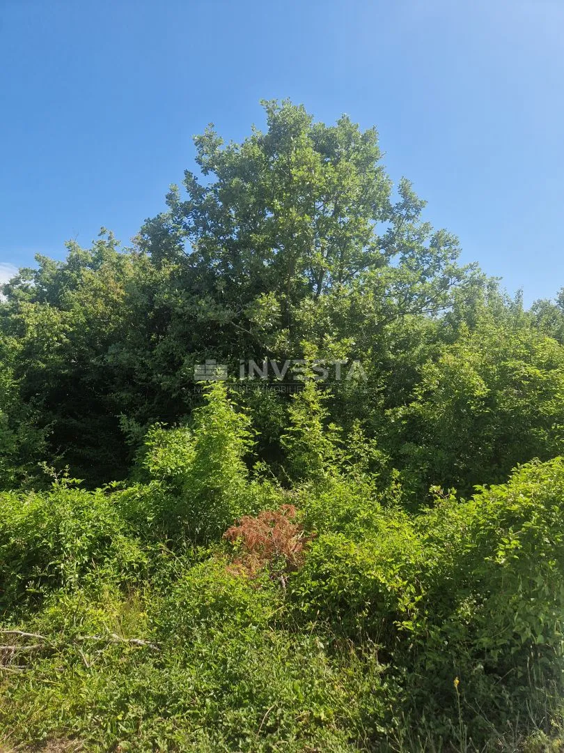 peroj, poljoprivredno zemljište, š1 namjena, 1km od mora - slika 5