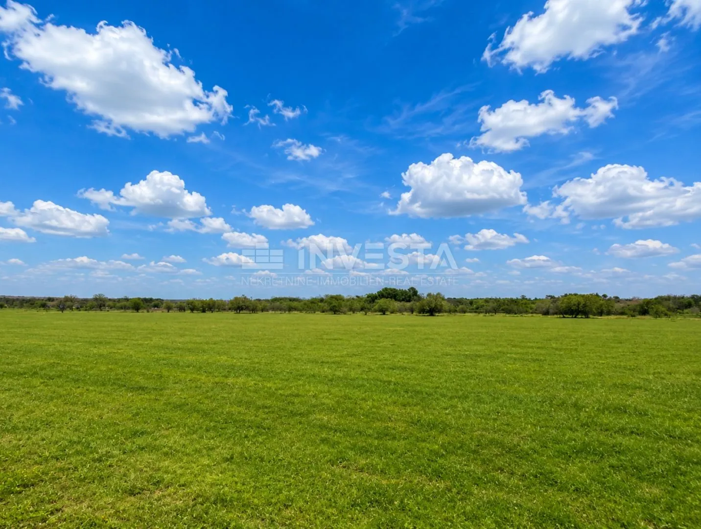 Fažana, poljoprivredno zemljište 4.000 m², idealno za maslinik