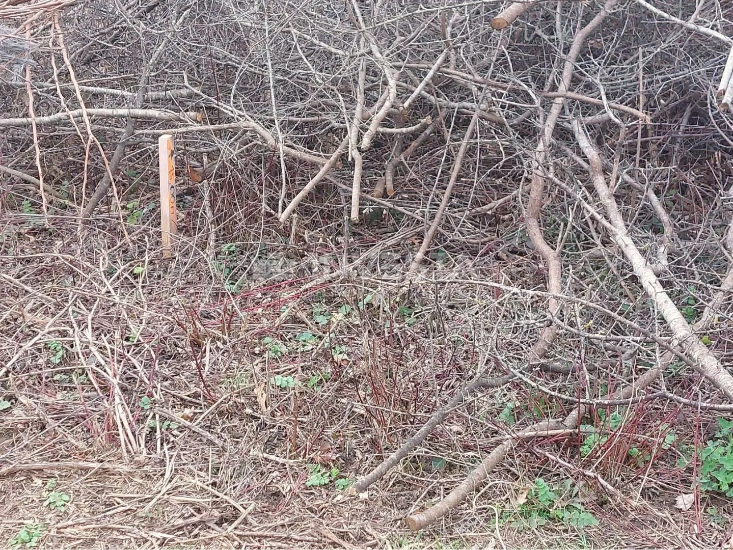 istra, gračišće, građevinsko zemljište 1652 m2 - slika 6