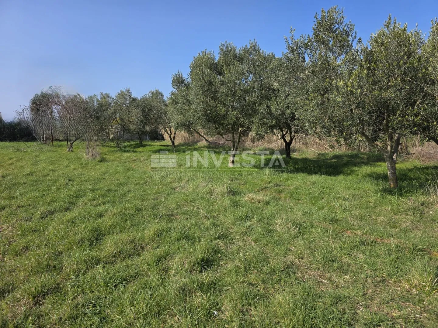 fažana, građevinsko zemljište 2.580m2 blizu plaže - slika 5