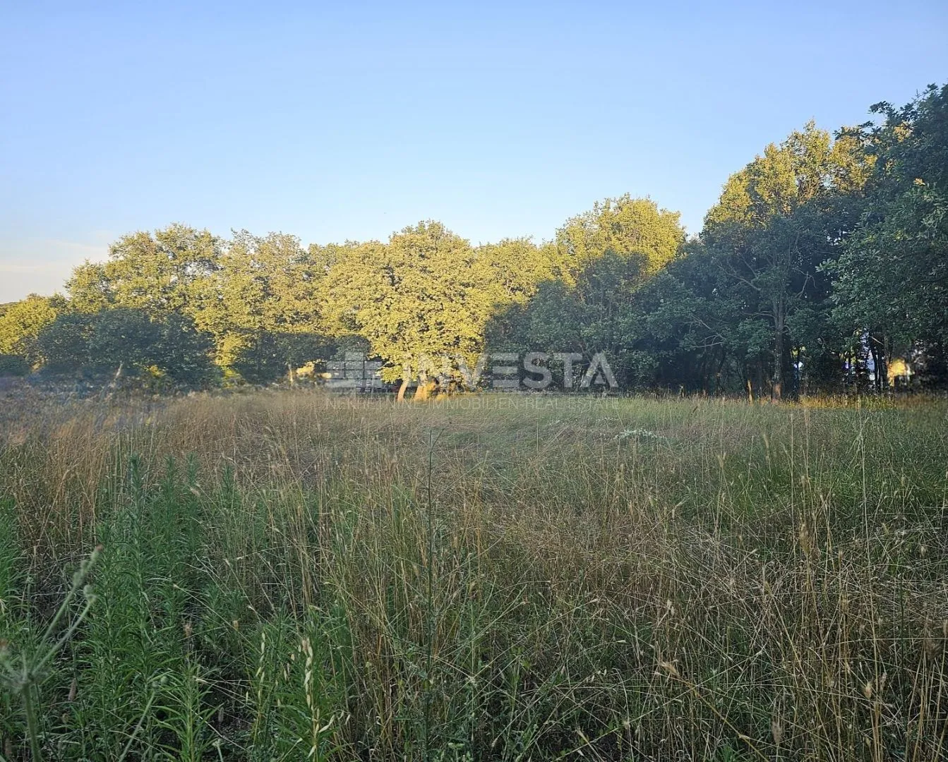 medulin, građevinsko zemljište, 500 m od mora - slika 1