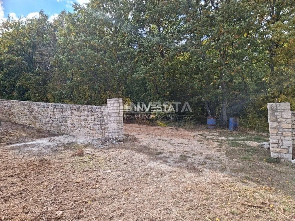 okolica svetog lovreča, maslinik 13300 m2 - slika 3