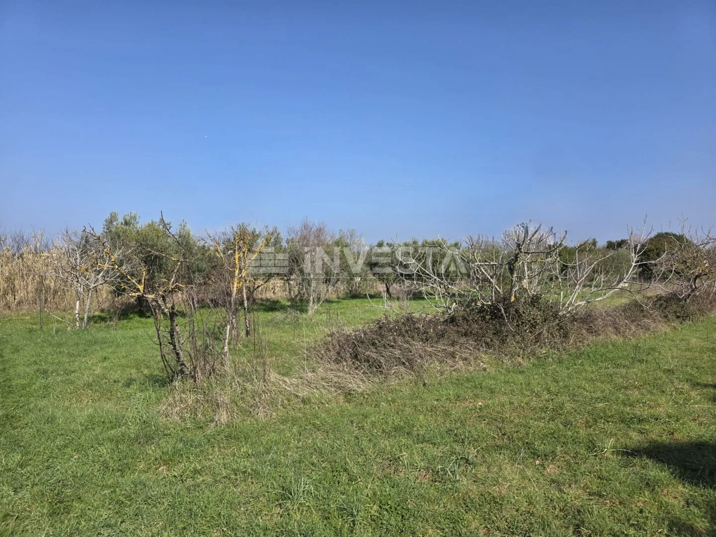 fažana, građevinsko zemljište 2.580m2 blizu plaže - slika 3