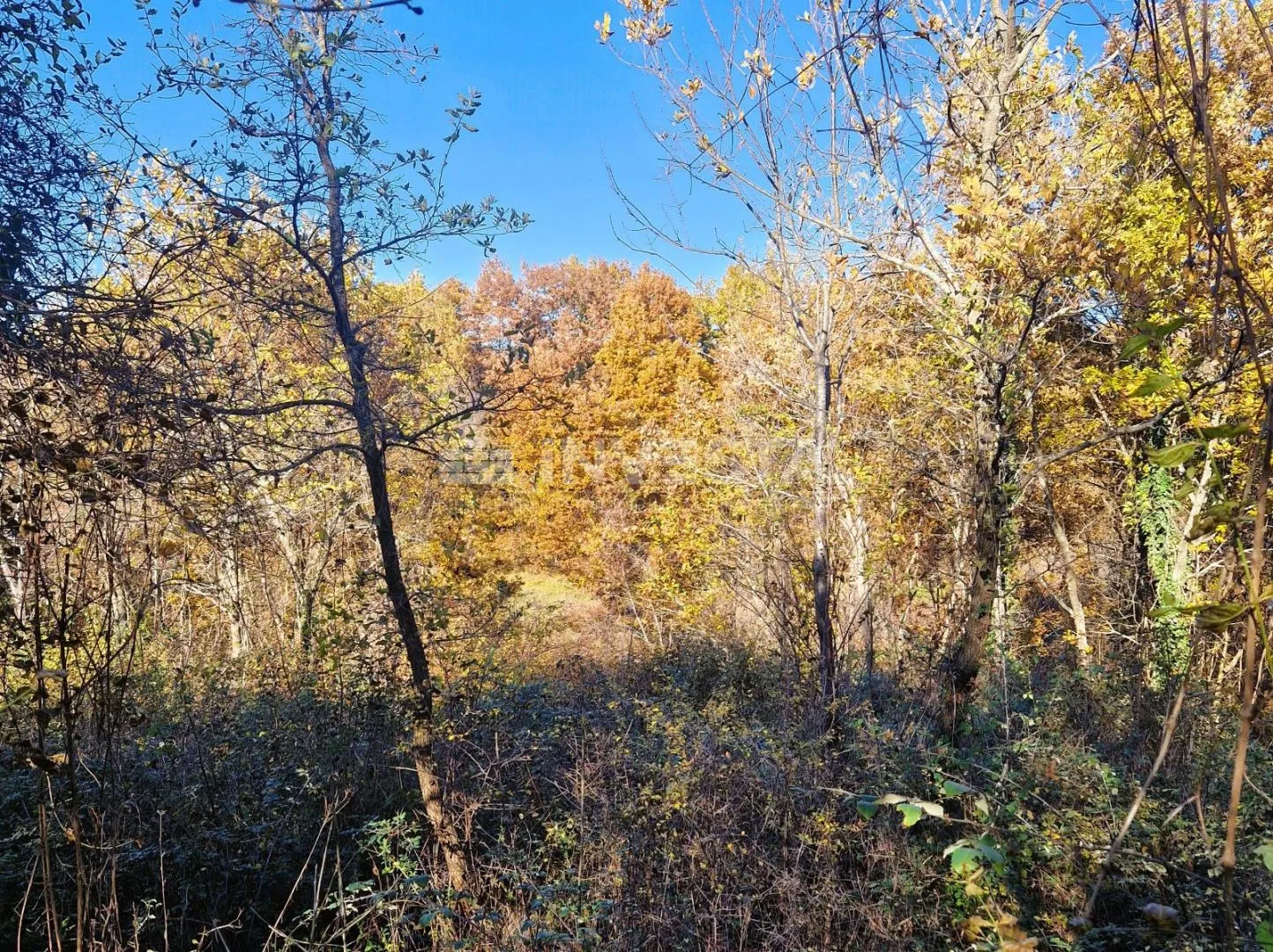 štokovci - građevinsko 645 m2 i poljoprivredno 1603 m2 zemljište - slika 9