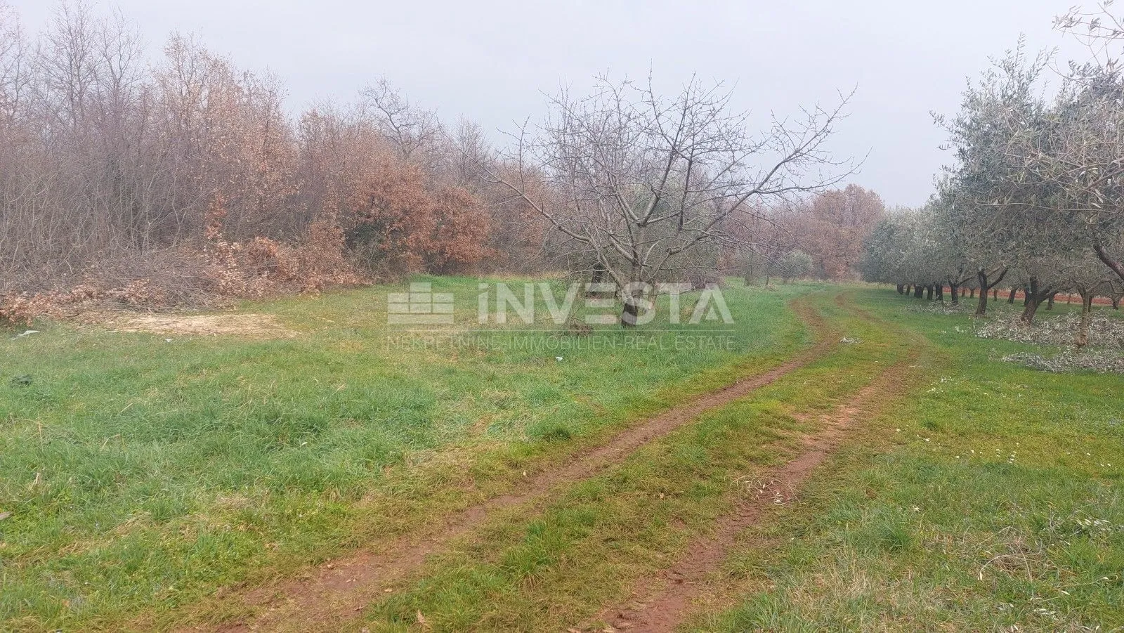poljoprivredno zemljište-šuma - slika 2