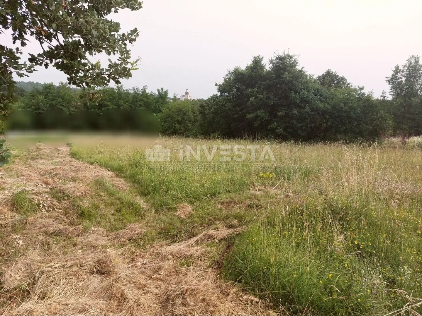 tinjan, građevinsko zemljište 3197 m2 + 971 m2 poljoprivredno - slika 5