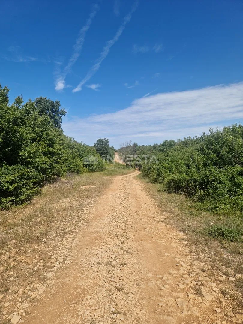 Peroj, Poljoprivredno zemljište, Š1 namjena, 1km od mora - Peroj, Vodnjan