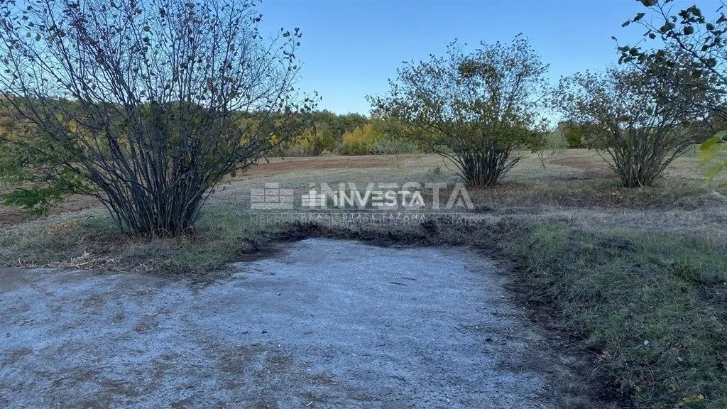 okolica svetog lovreča, maslinik 13300 m2 - slika 10