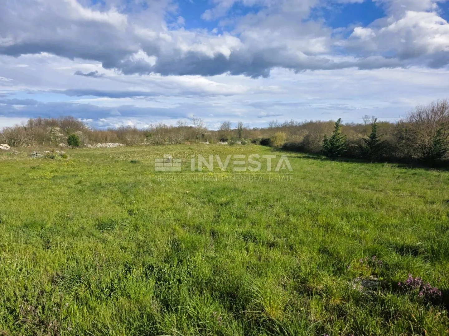 žminj okolica – građevinsko zemljište 563 m² idealno za kuću - slika 3