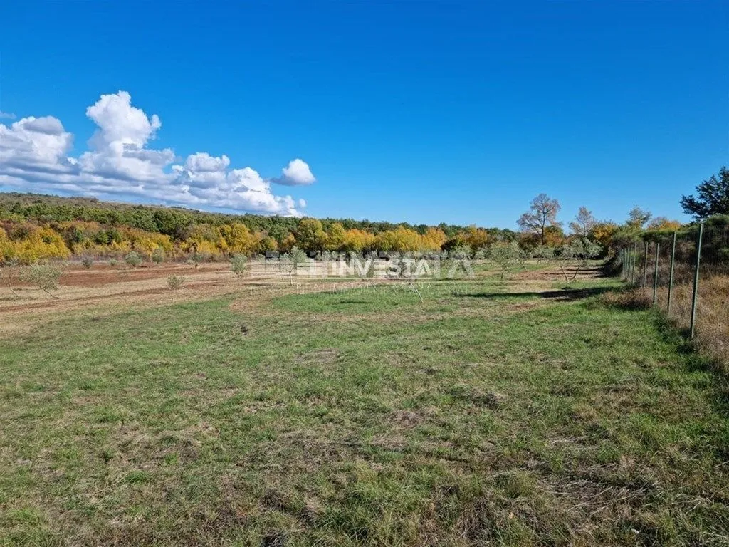 okolica svetog lovreča, maslinik 13300 m2 - slika 12