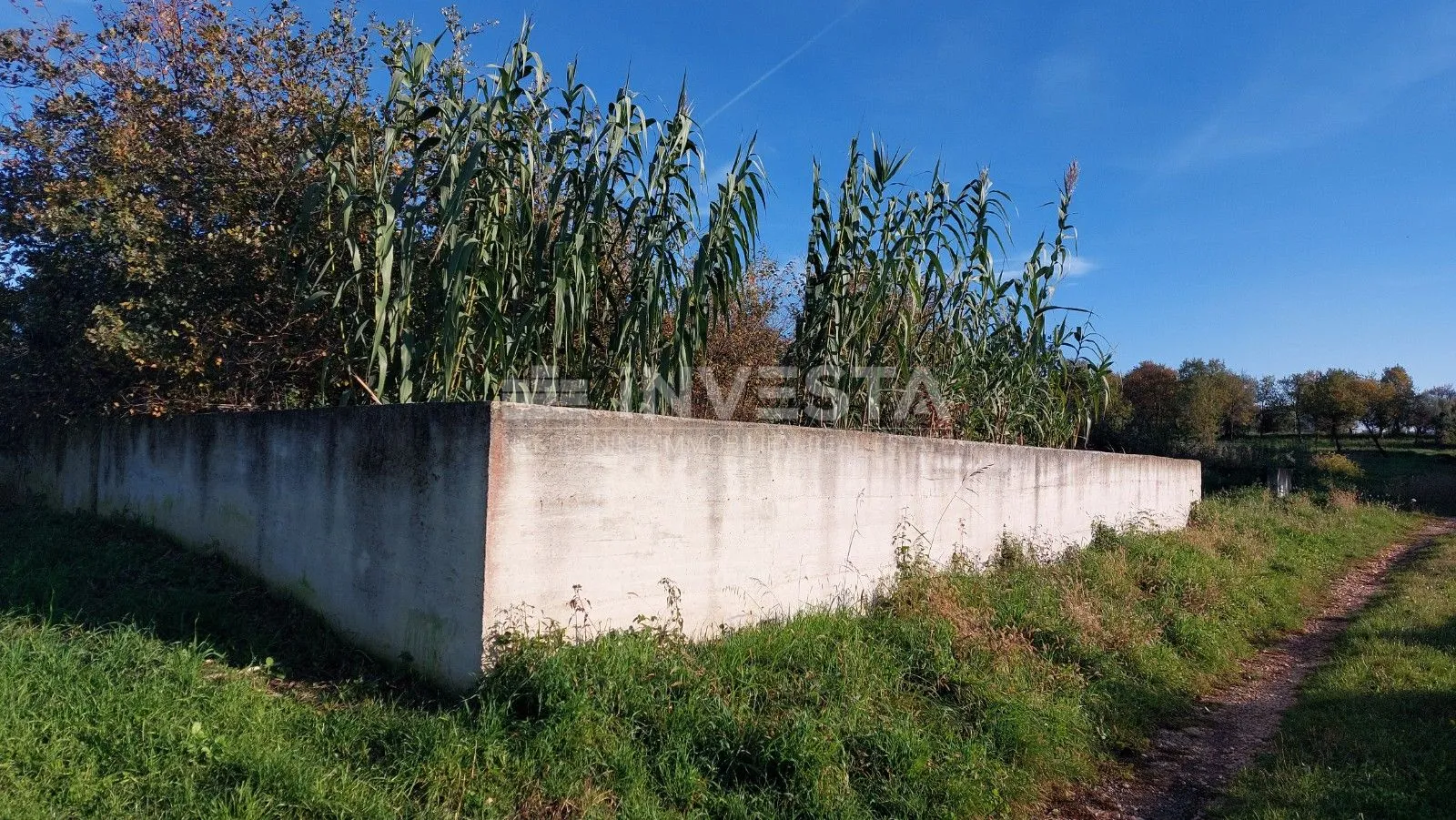 građevinsko zemljište u taru - slika 2