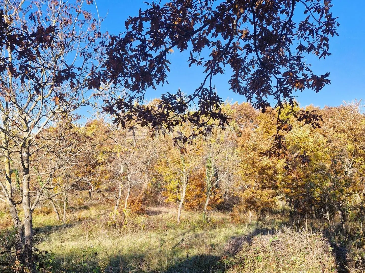 štokovci, građevinsko 1.256 m2 i poljoprivredno 568 m2zemljište - slika 8