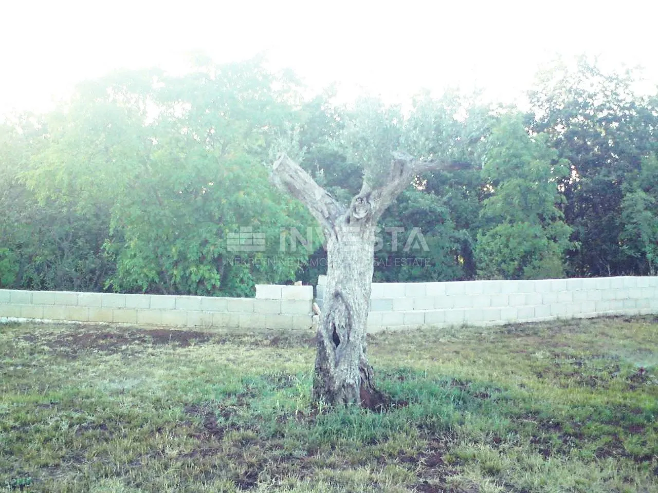 prizemna kuća 141 m 2 na kraju sela sa imanjem od 21500 m2 - slika 4