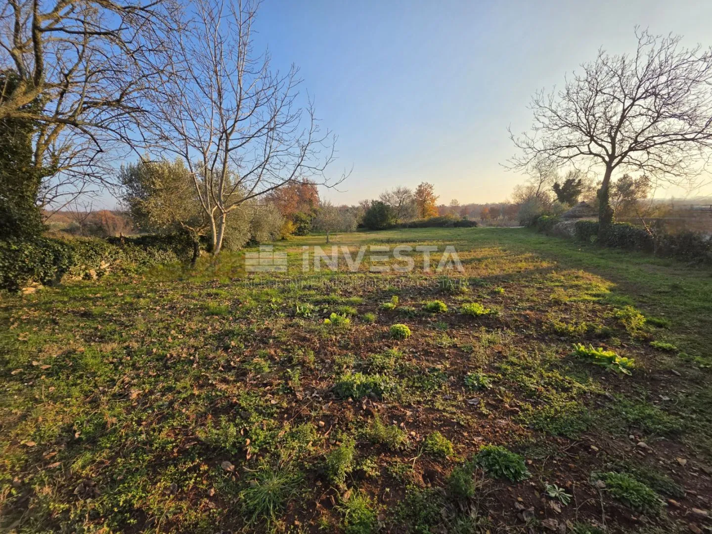 vodnjan okolica, građevinsko zemljište 1025 m2 - slika 6