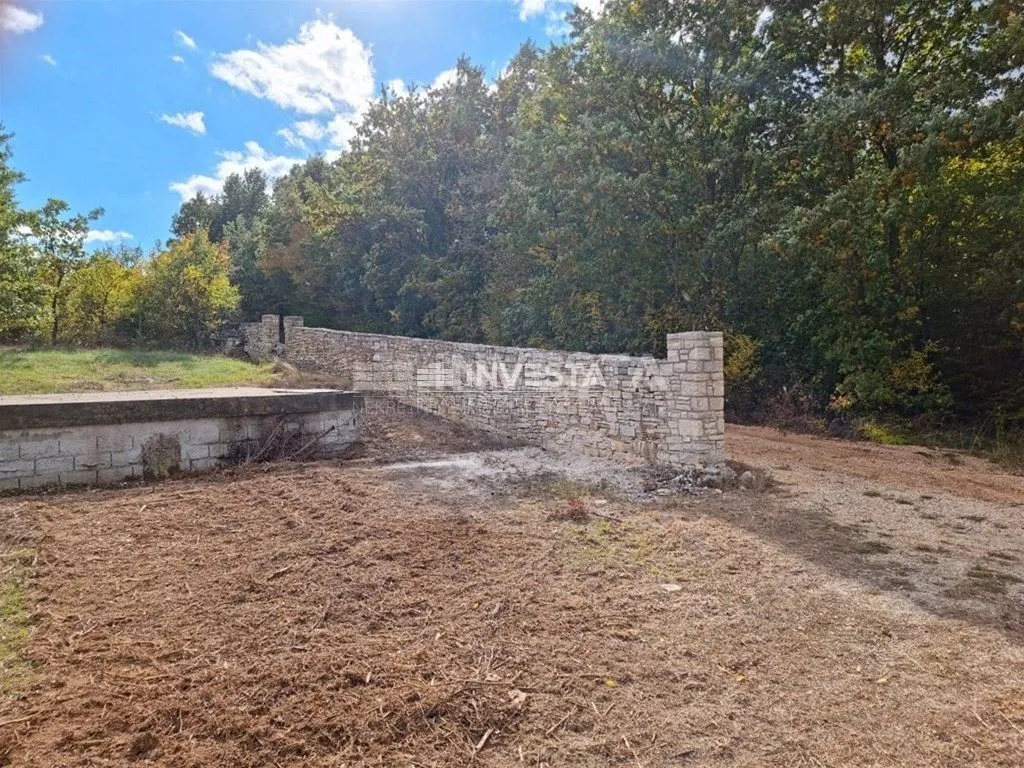 okolica svetog lovreča, maslinik 13300 m2 - slika 7